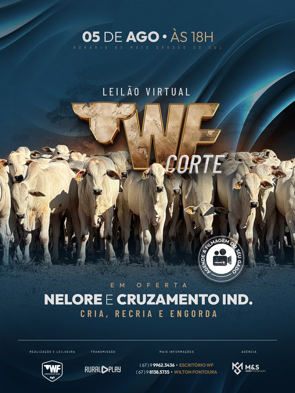 3º LEILAO VIRTUAL WF CORTE