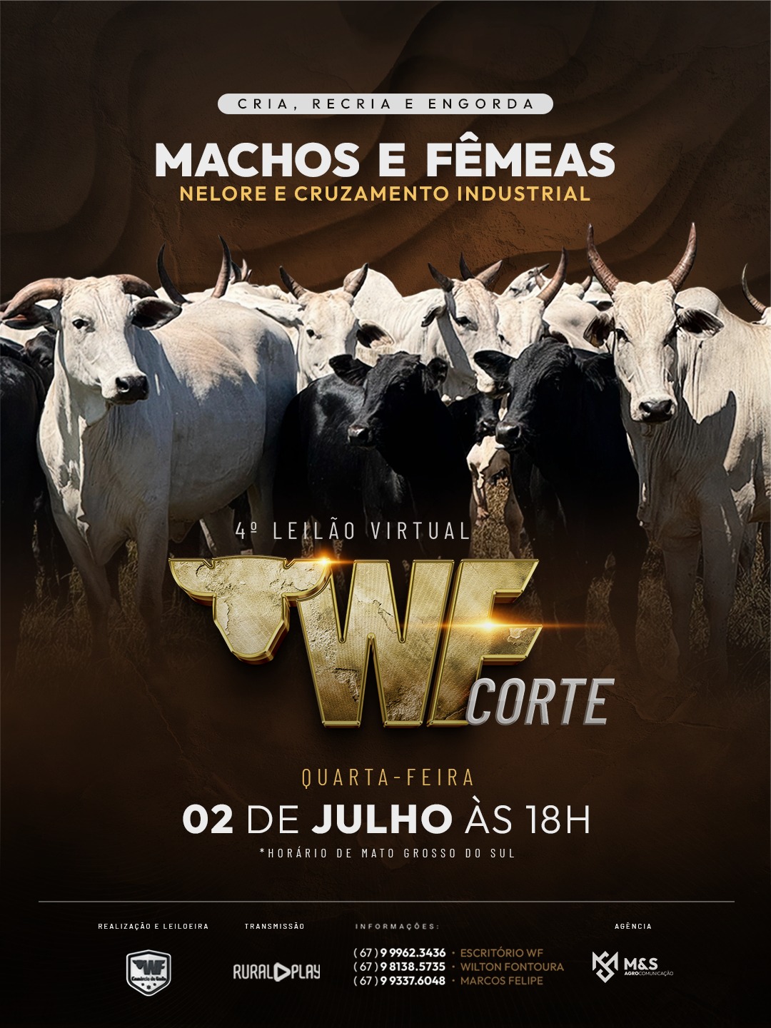 4º LEILÃO VIRTUAL WF CORTE