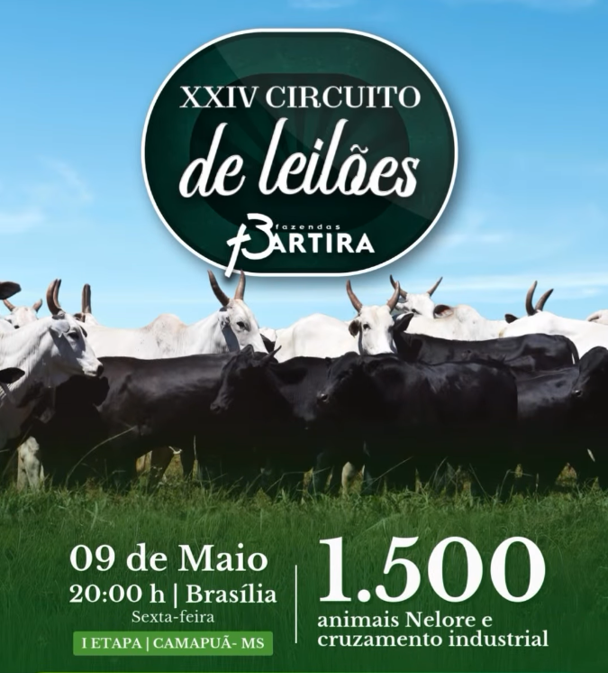 CIRCUITO DE LEILÕES FAZENDAS BATIRA
