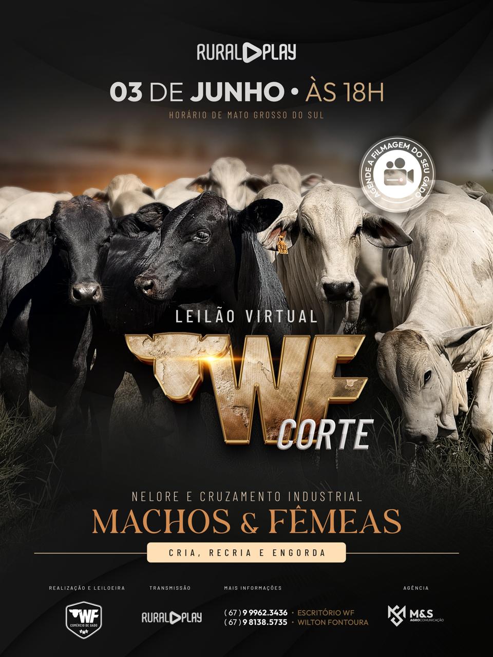 LEILÃO VIRTUAL WF CORTE