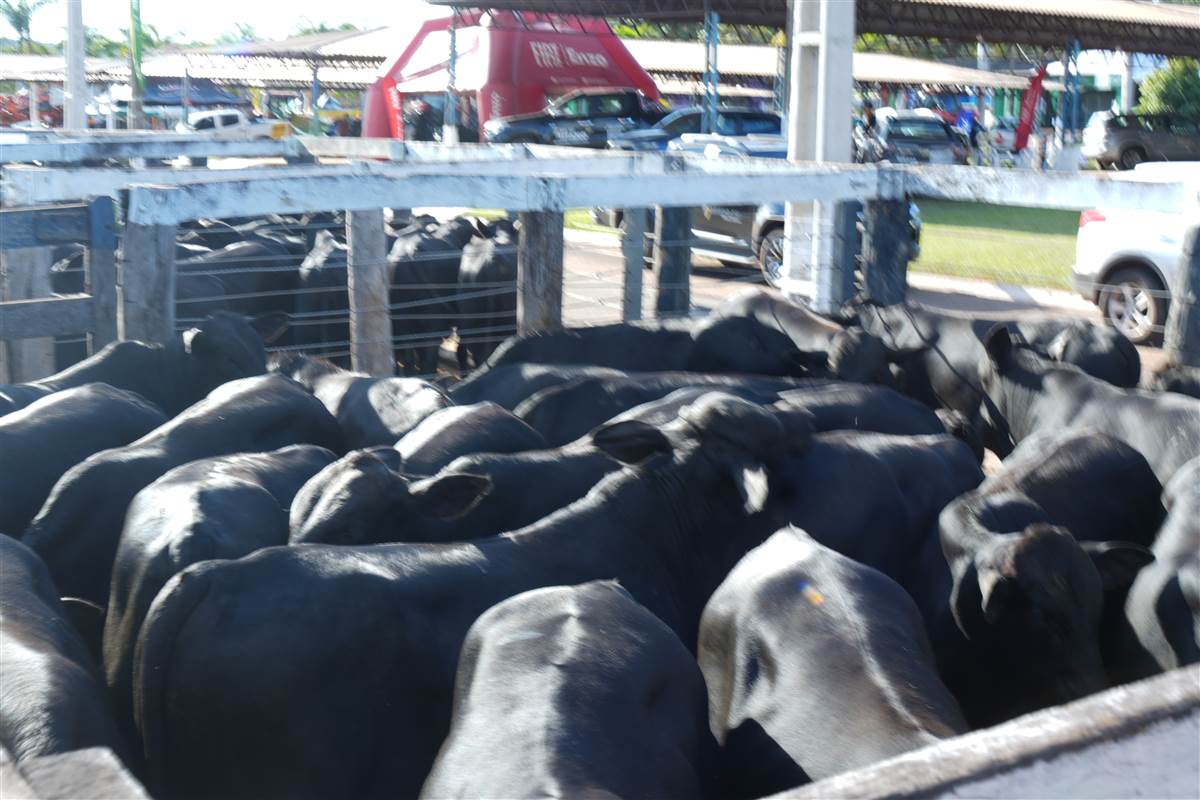 Clique para ver - Foto 0