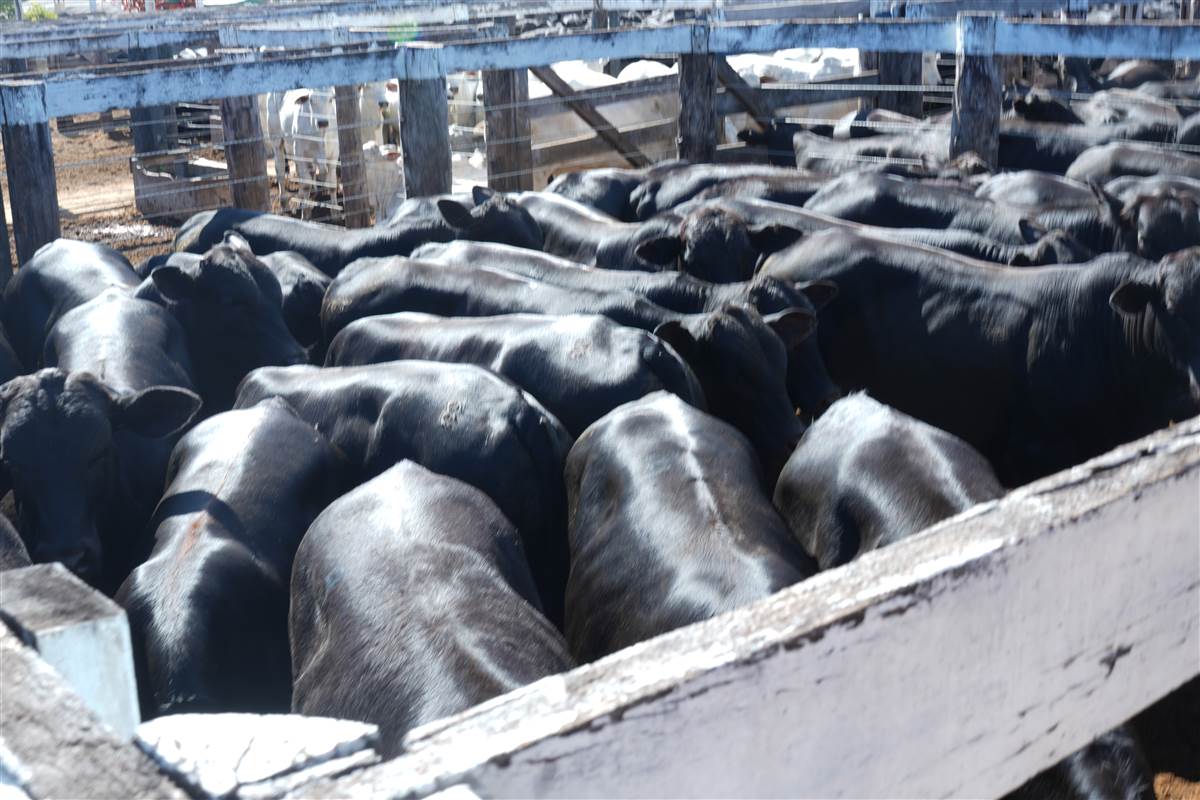 Clique para ver - Foto 0