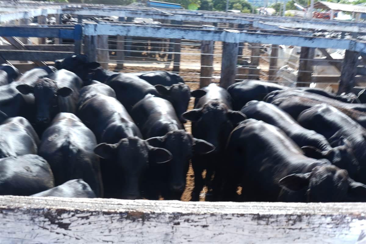 Clique para ver - Foto 1