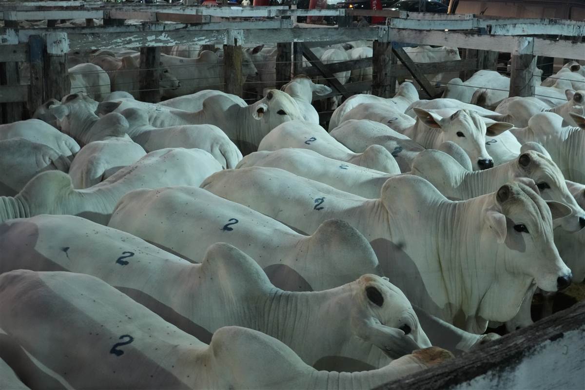 Clique para ver - Foto 0