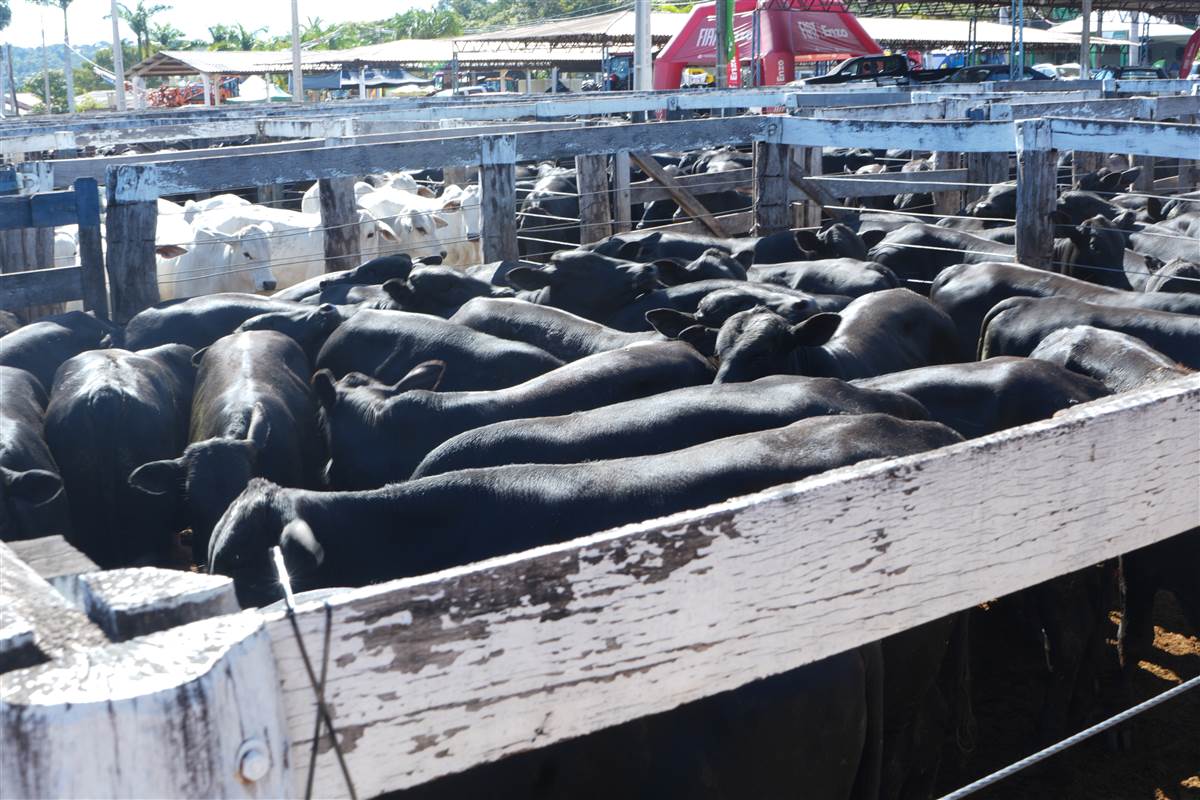 Clique para ver - Foto 0