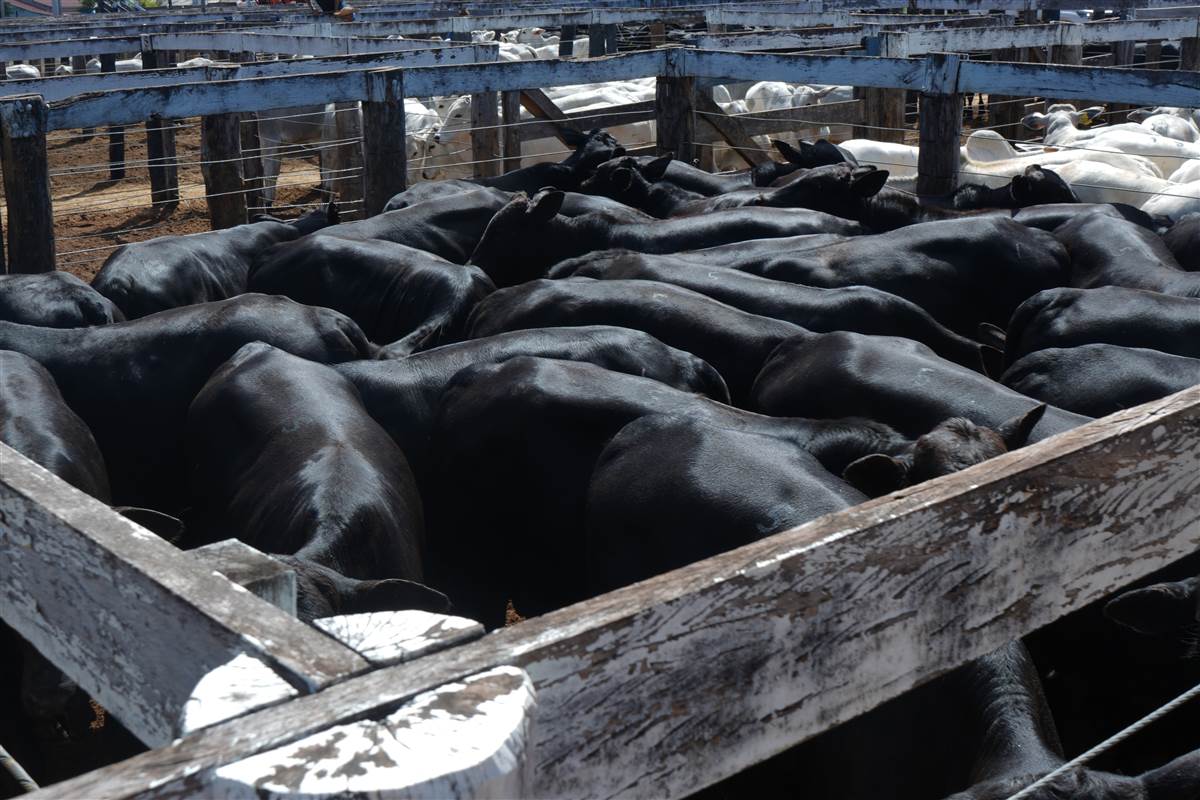 Clique para ver - Foto 0