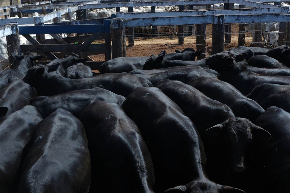 Clique para ver - Foto 1