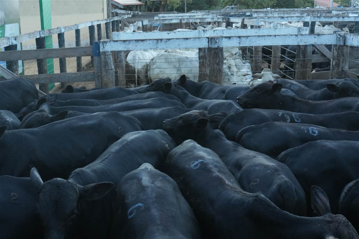 Clique para ver - Foto 1