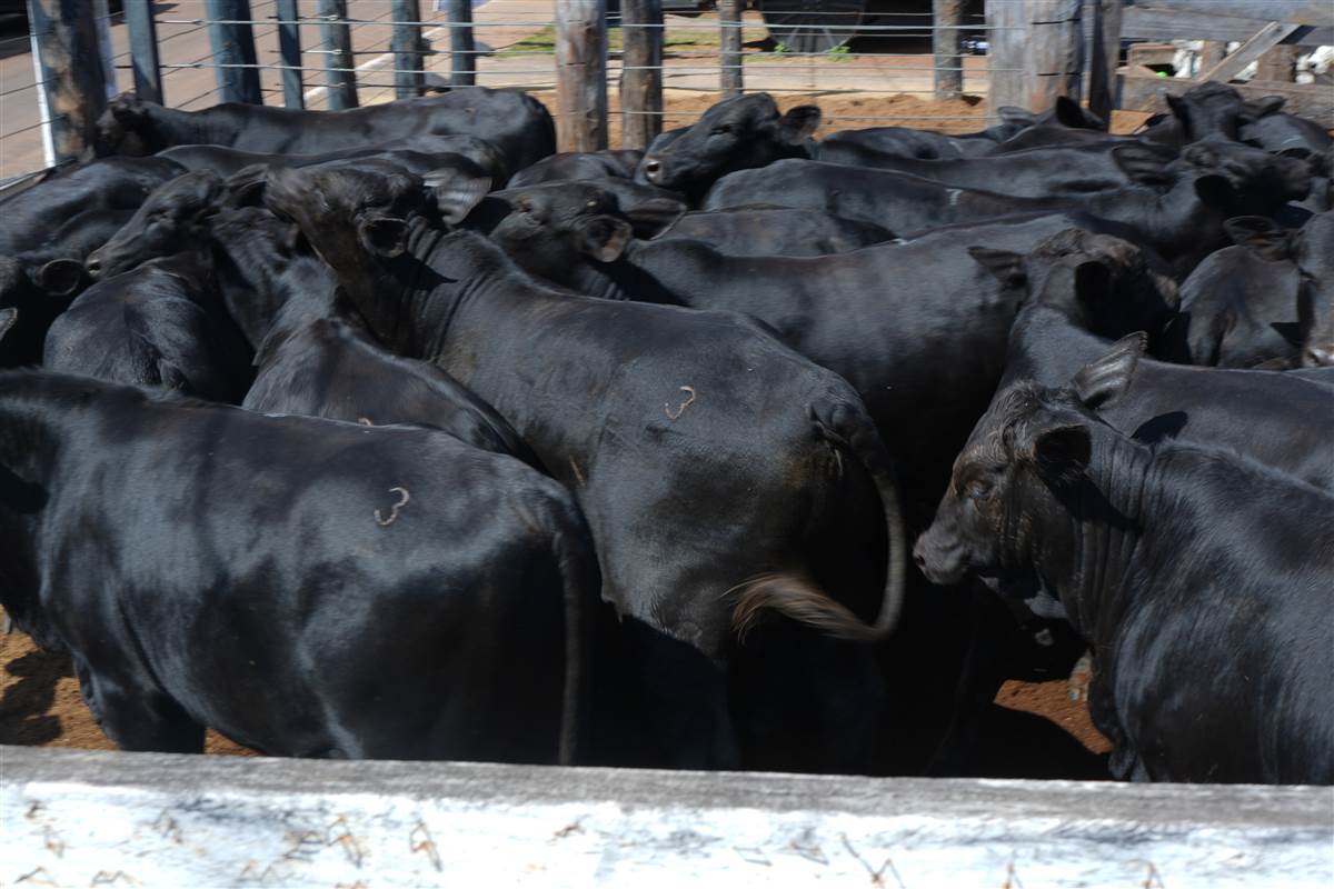 Clique para ver - Foto 1