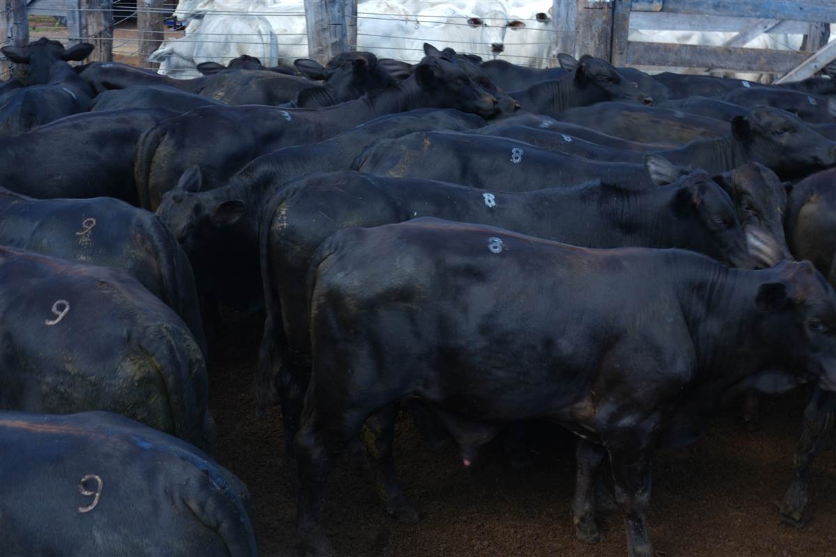 Clique para ver - Foto 1