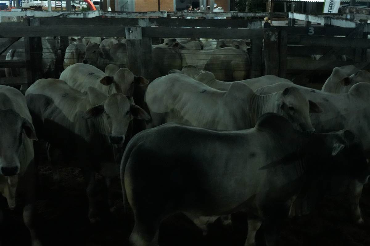 Clique para ver - Foto 1