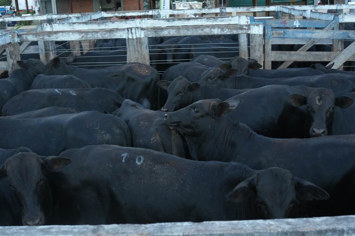 Clique para ver - Foto 1