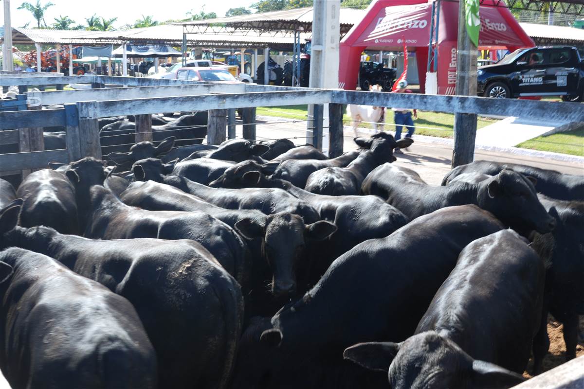 Clique para ver - Foto 0