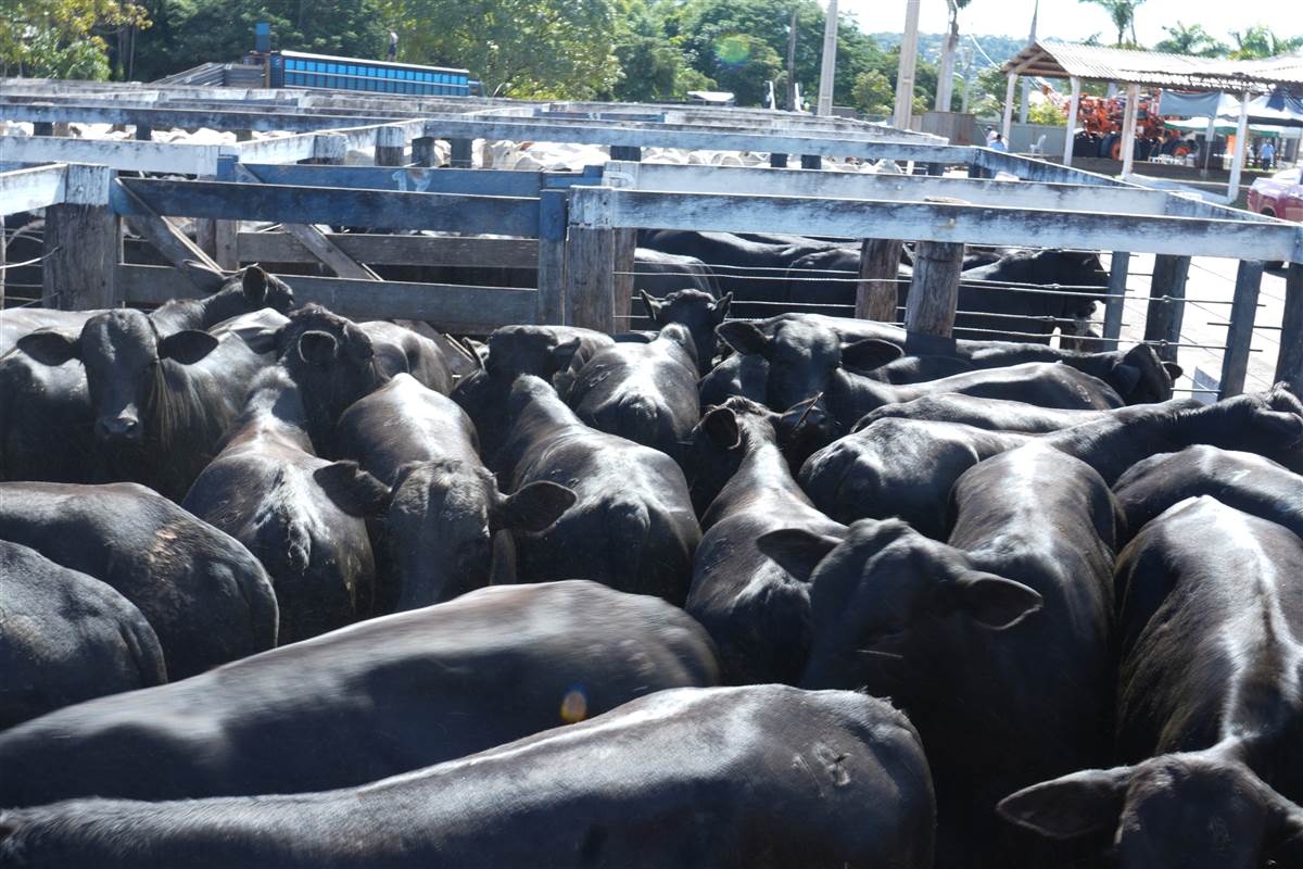 Clique para ver - Foto 1