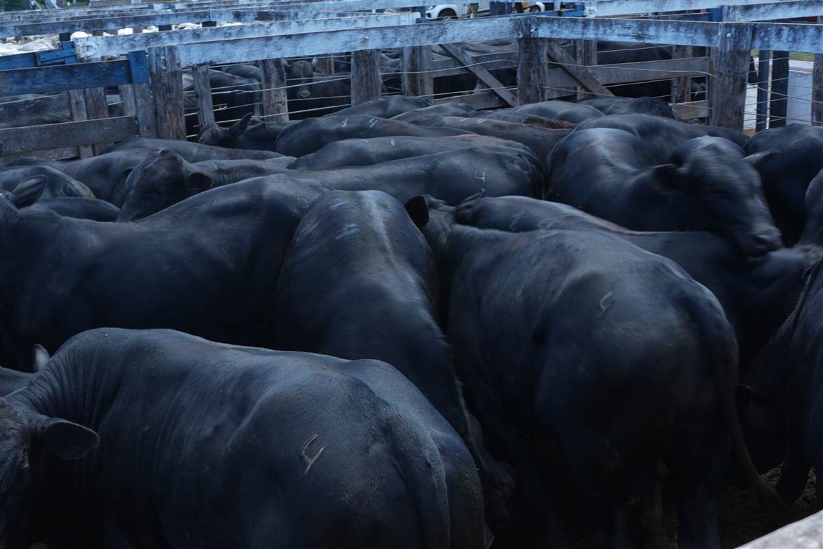 Clique para ver - Foto 0