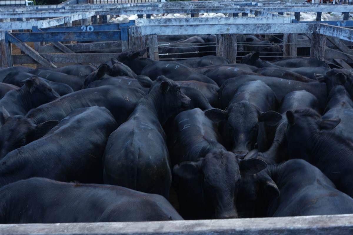 Clique para ver - Foto 1