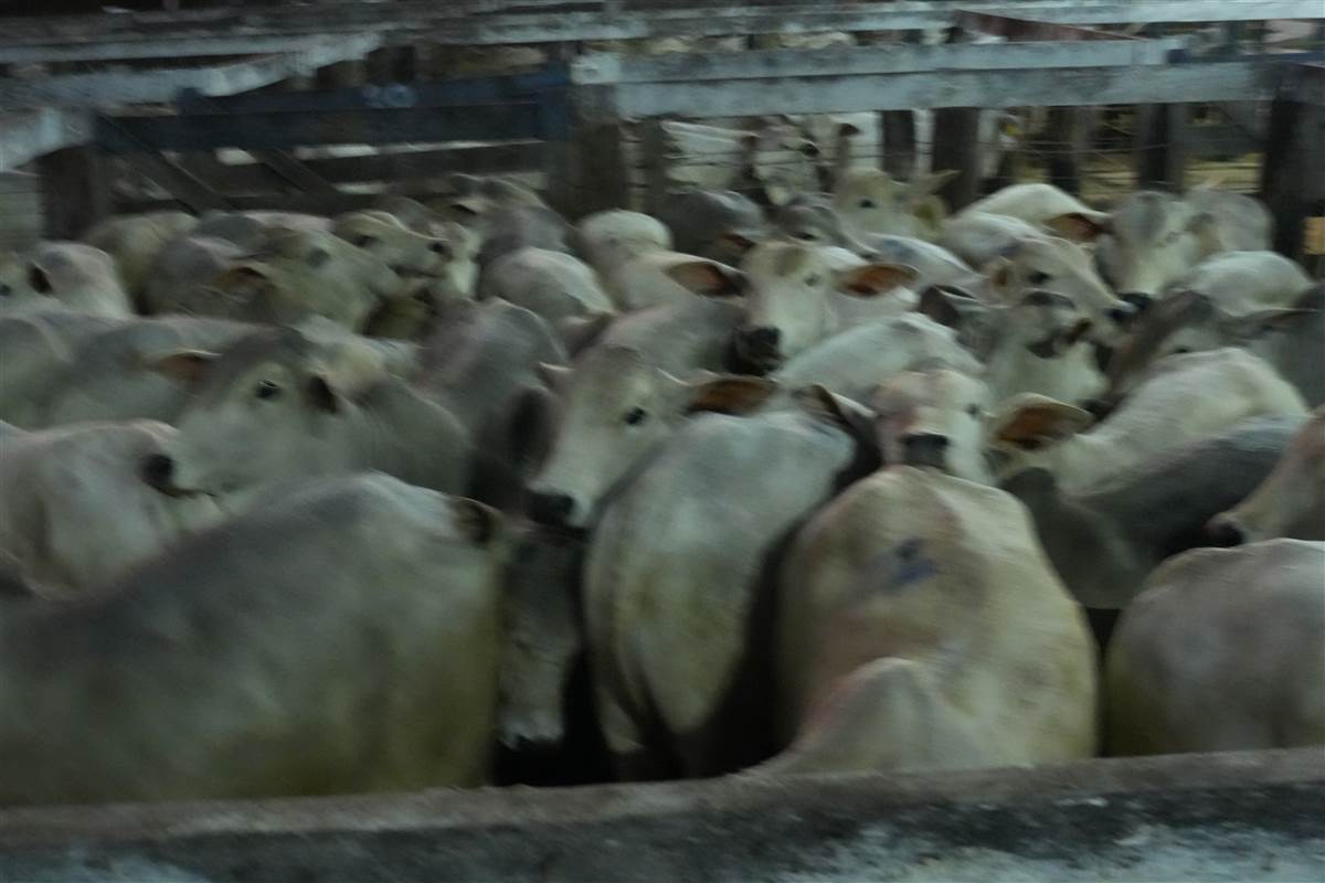 Clique para ver - Foto 0