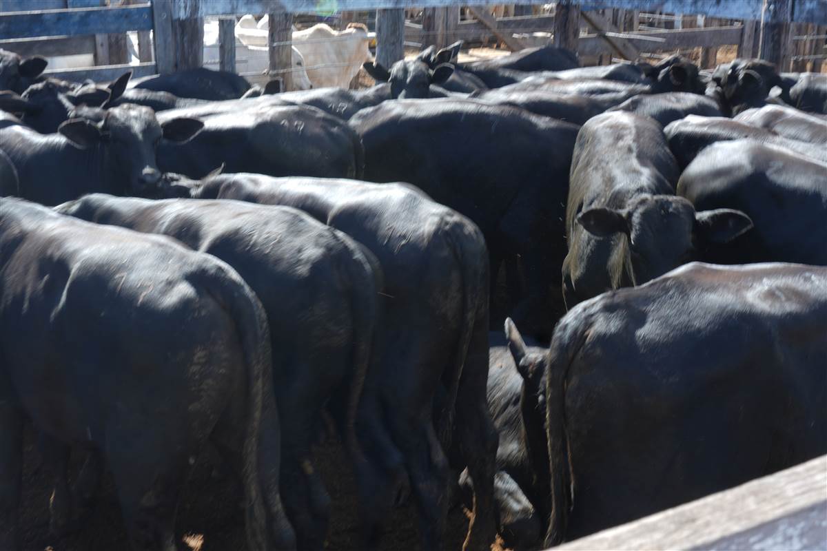 Clique para ver - Foto 0