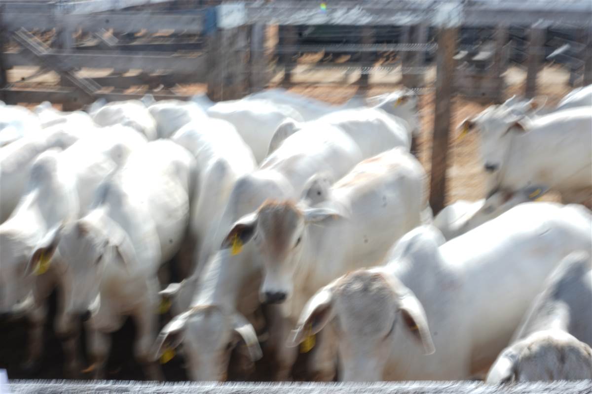 Clique para ver - Foto 1