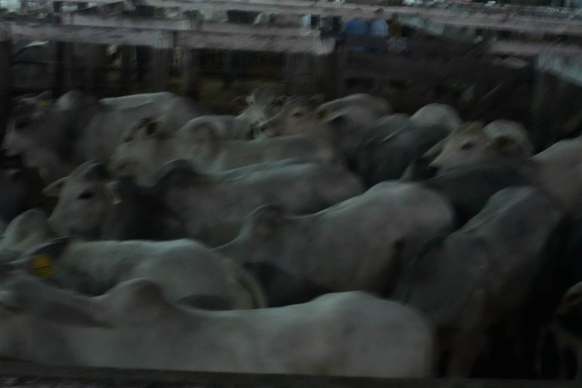 Clique para ver - Foto 1