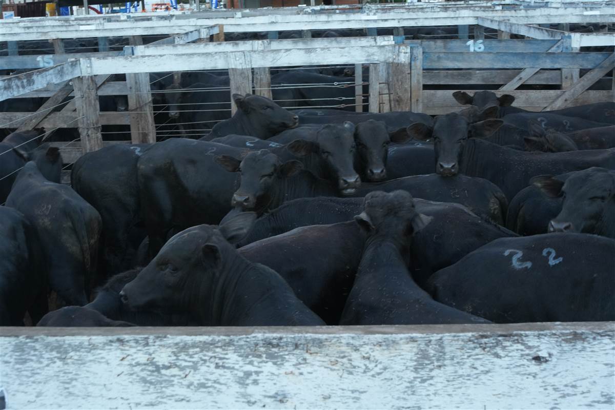 Clique para ver - Foto 1