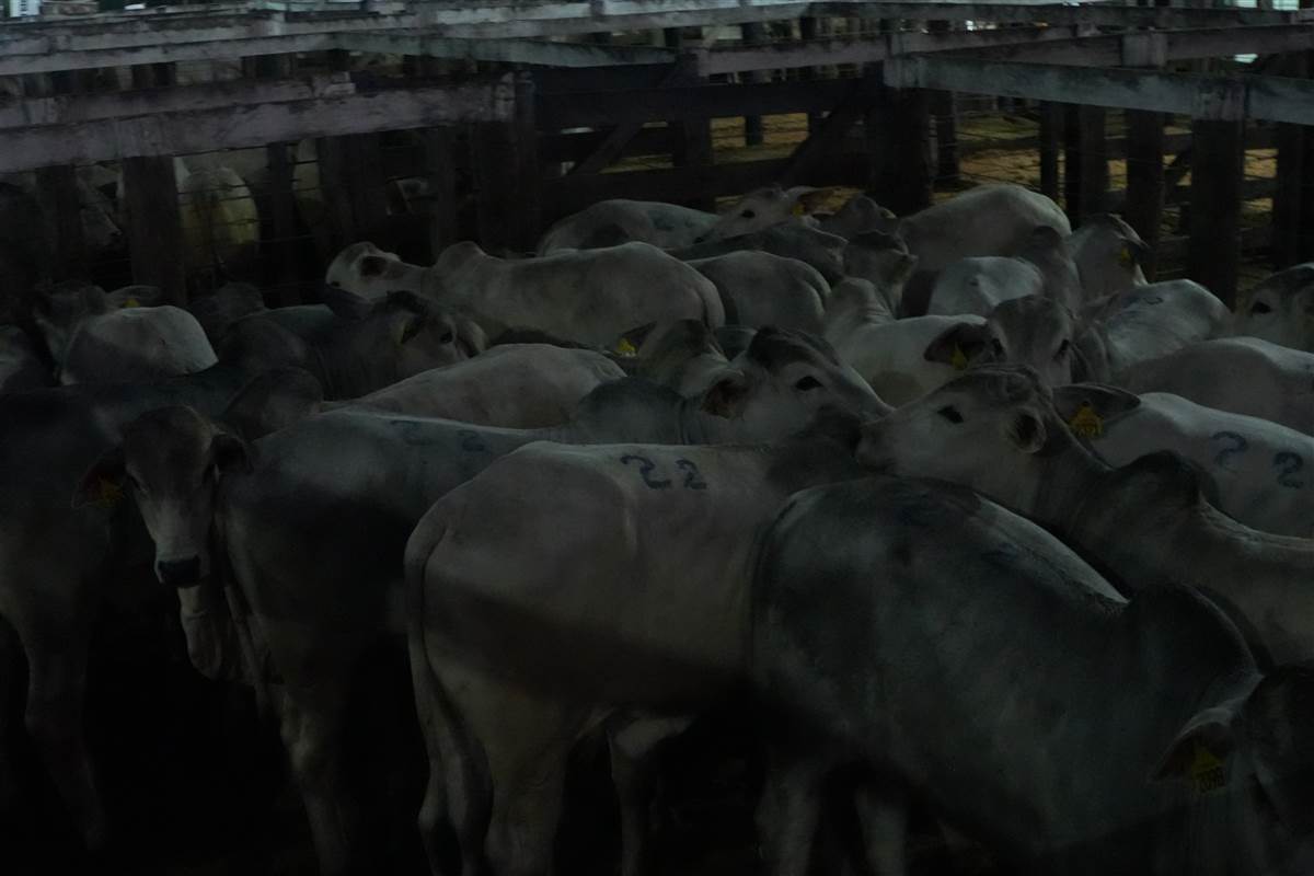 Clique para ver - Foto 0