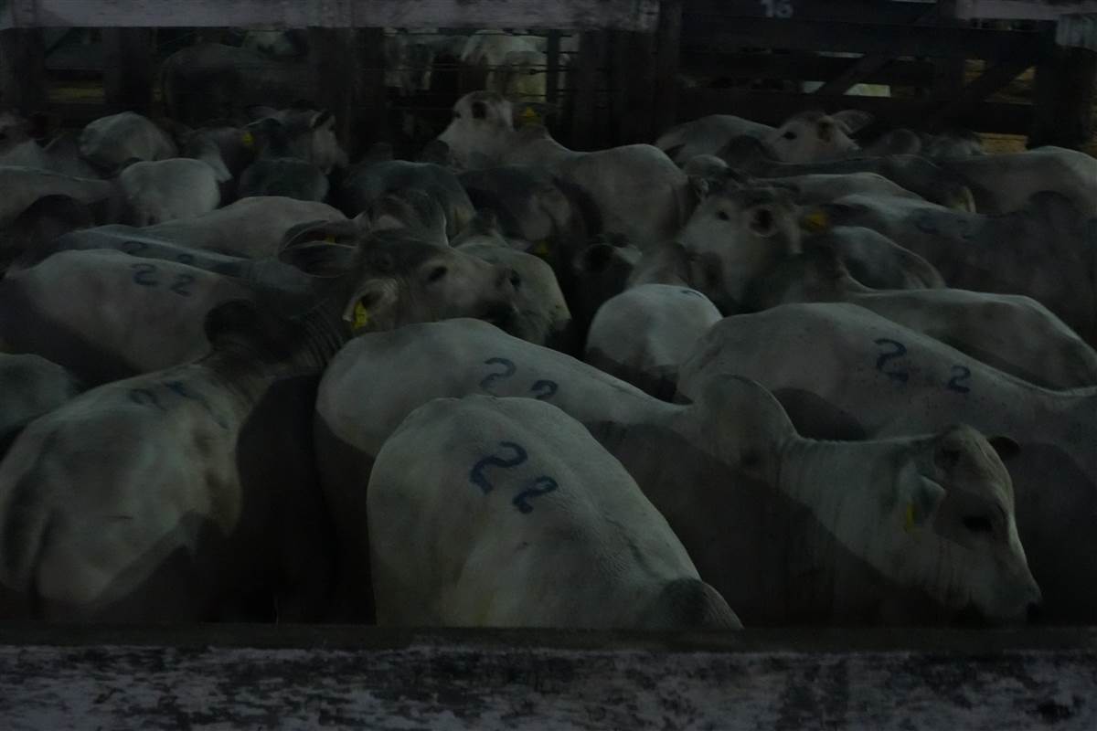 Clique para ver - Foto 1