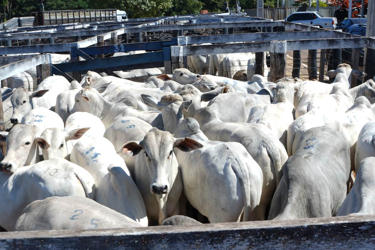 Clique para ver - Foto 1