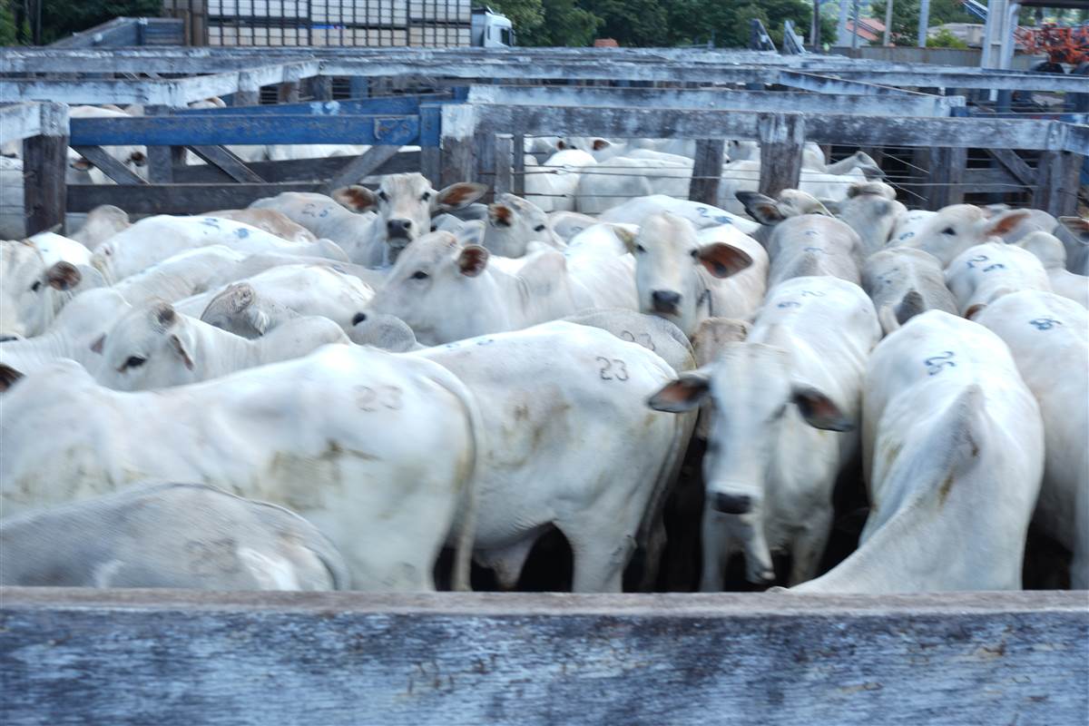 Clique para ver - Foto 1