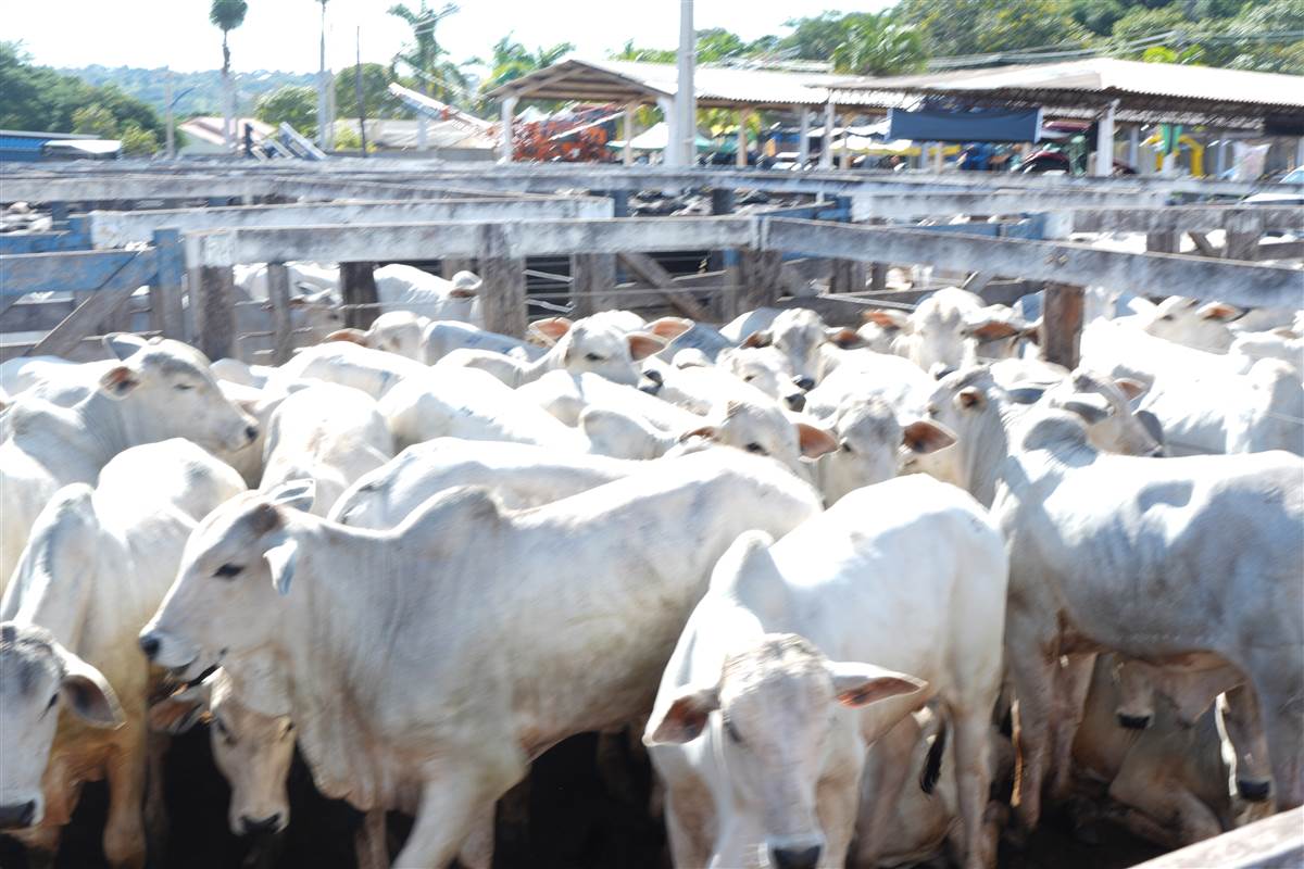 Clique para ver - Foto 0