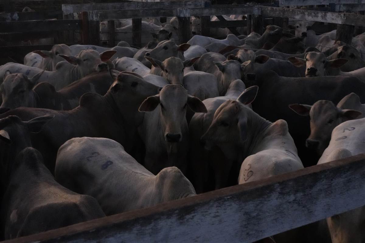 Clique para ver - Foto 0