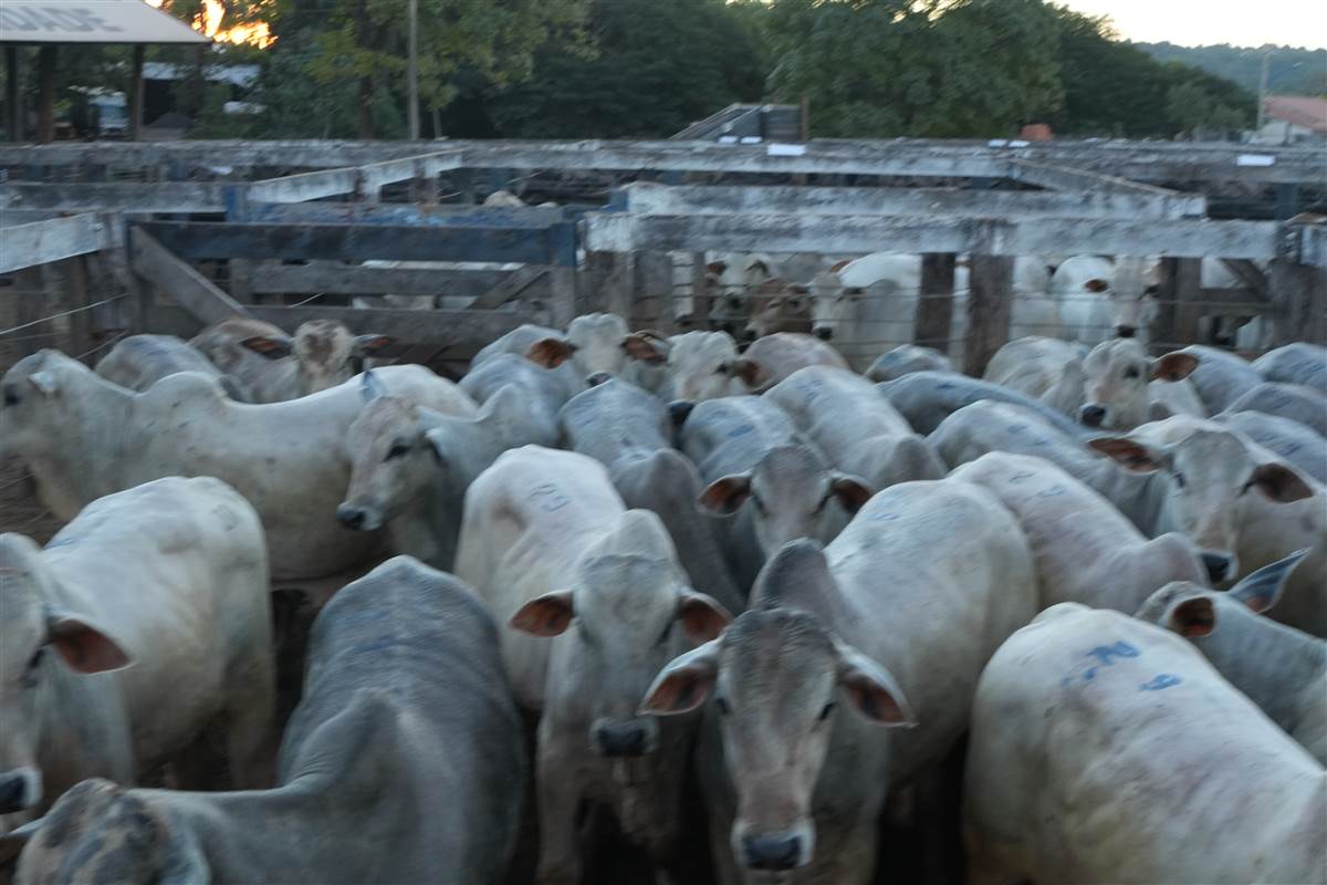 Clique para ver - Foto 1