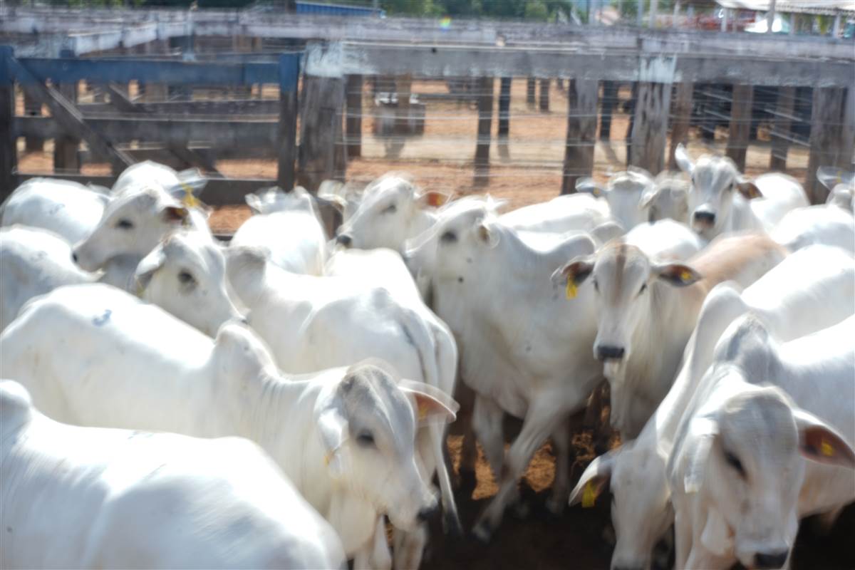 Clique para ver - Foto 1