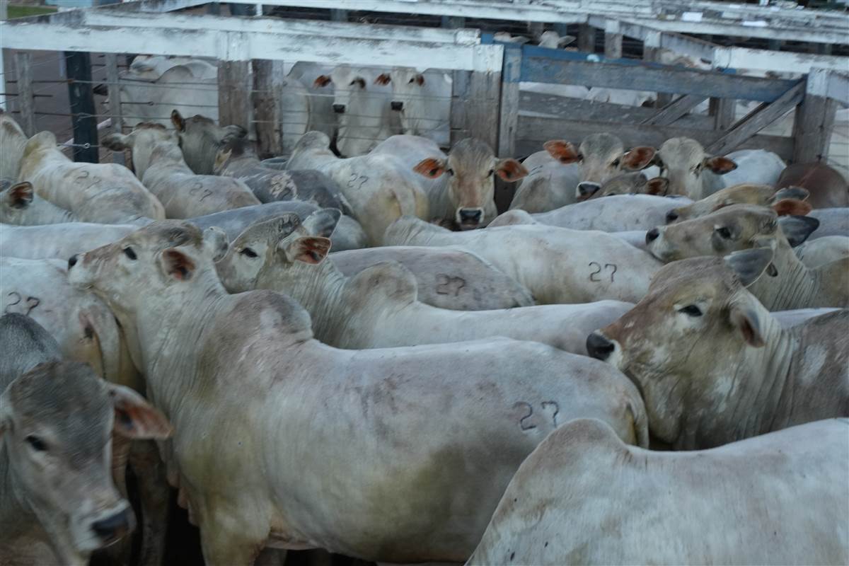 Clique para ver - Foto 1