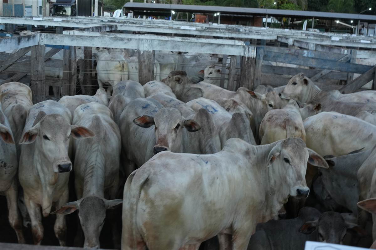 Clique para ver - Foto 1