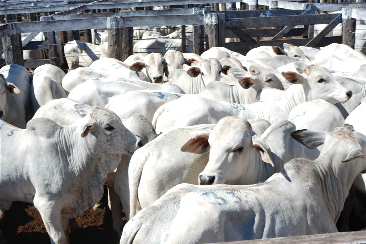 Clique para ver - Foto 1