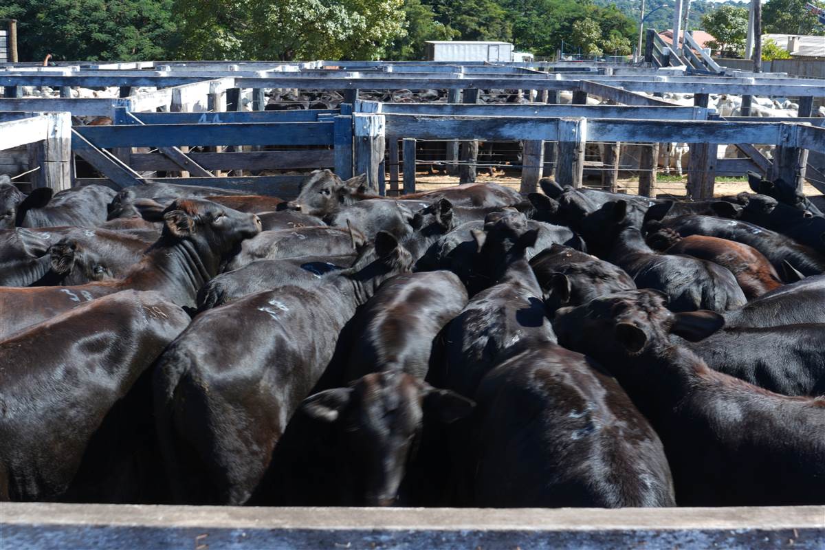 Clique para ver - Foto 1