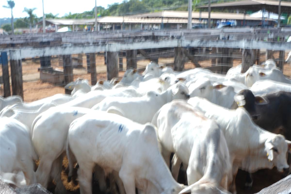 Clique para ver - Foto 0