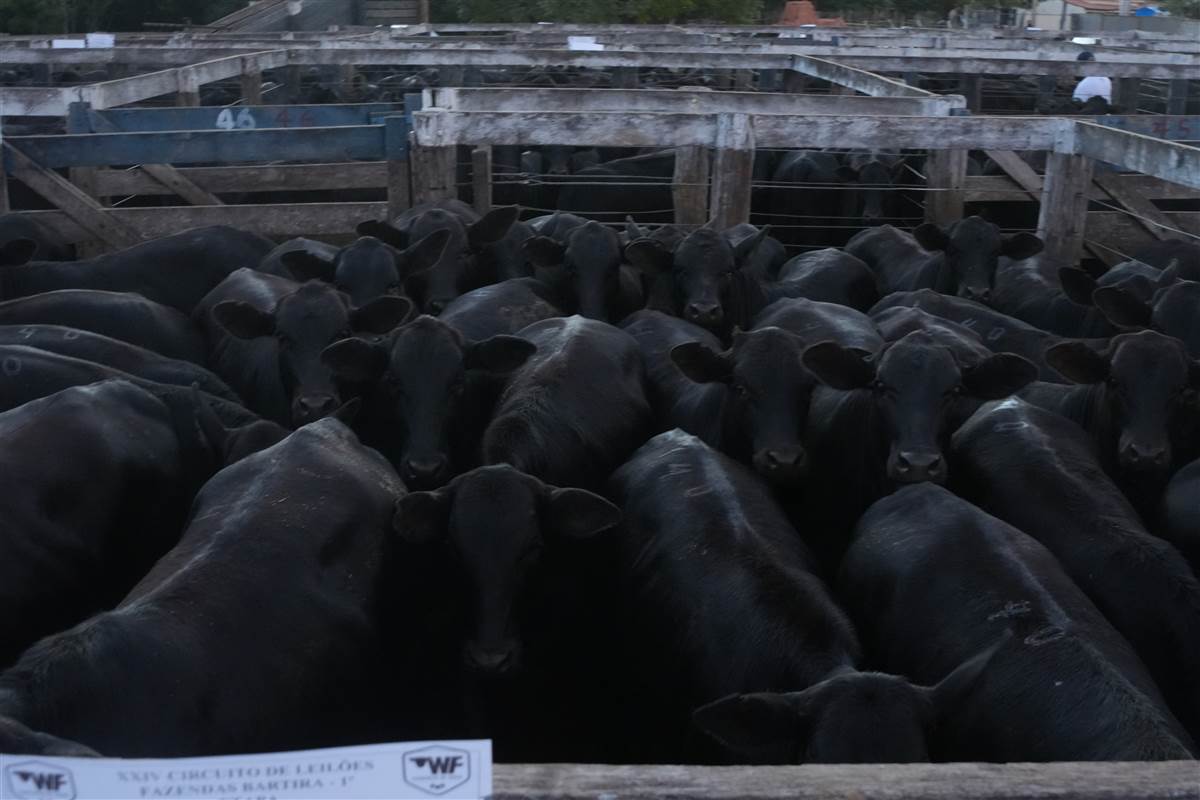 Clique para ver - Foto 1