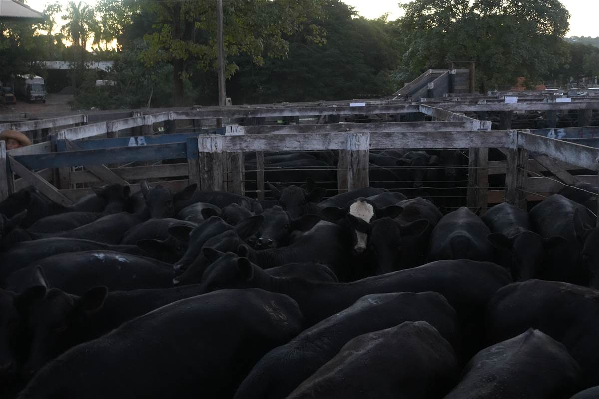 Clique para ver - Foto 1