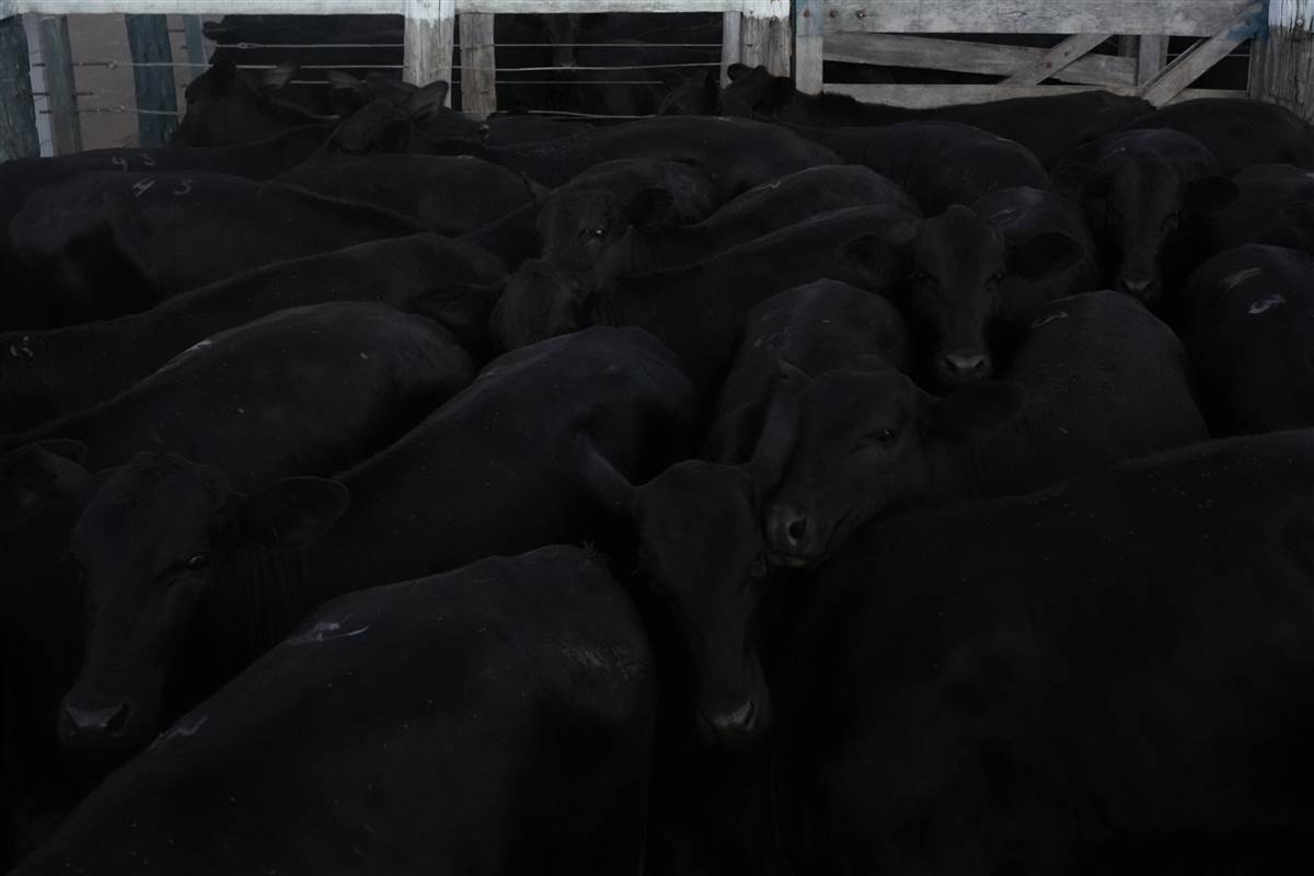 Clique para ver - Foto 1