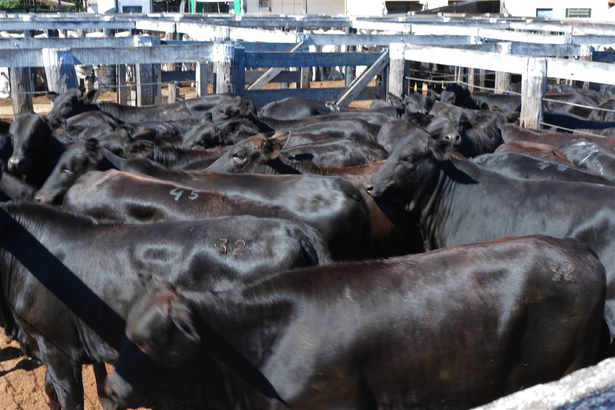 Clique para ver - Foto 0