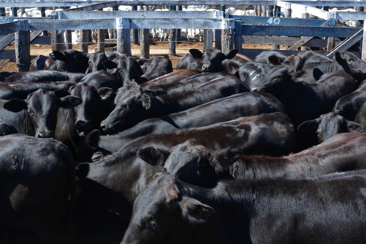 Clique para ver - Foto 1