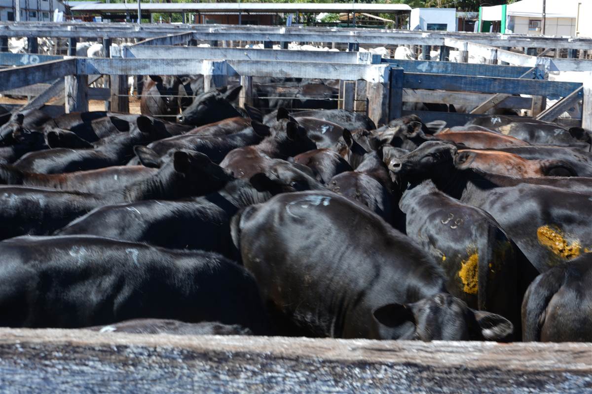 Clique para ver - Foto 1