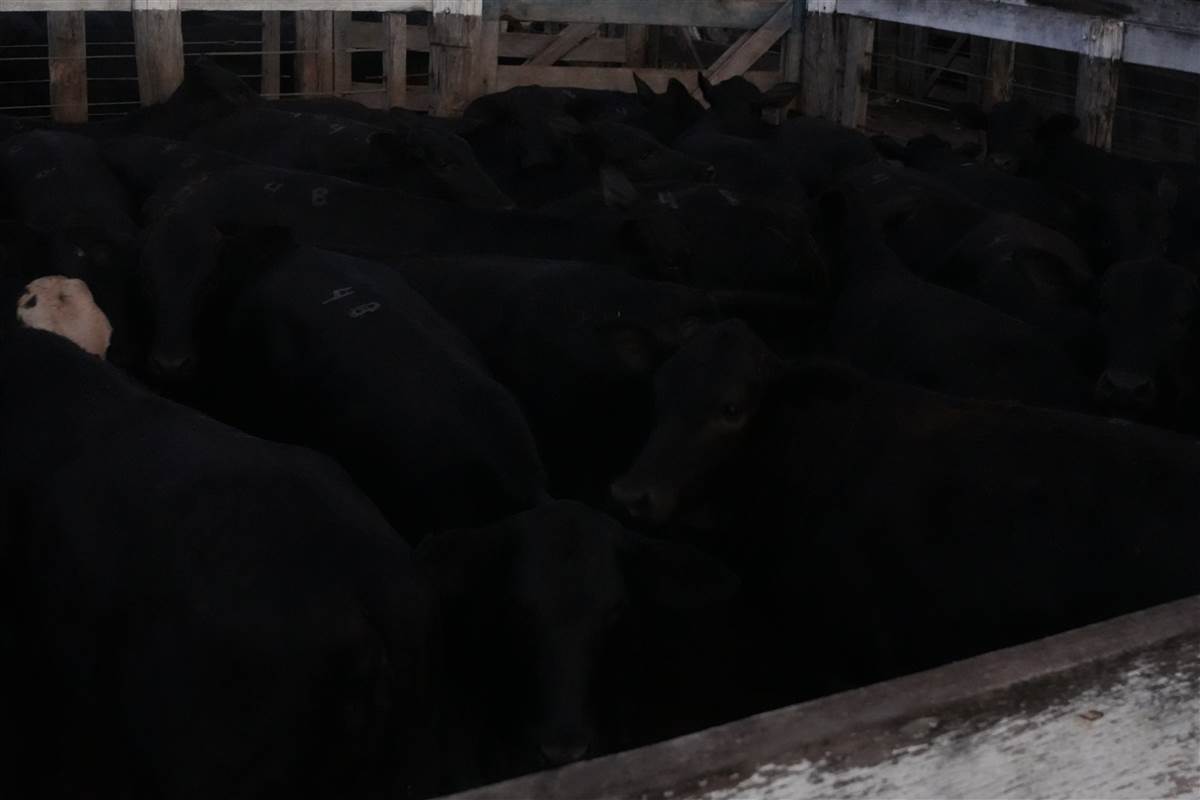 Clique para ver - Foto 0