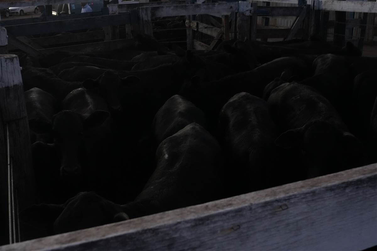 Clique para ver - Foto 0