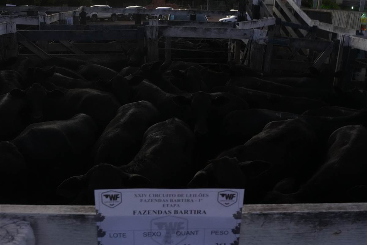 Clique para ver - Foto 1