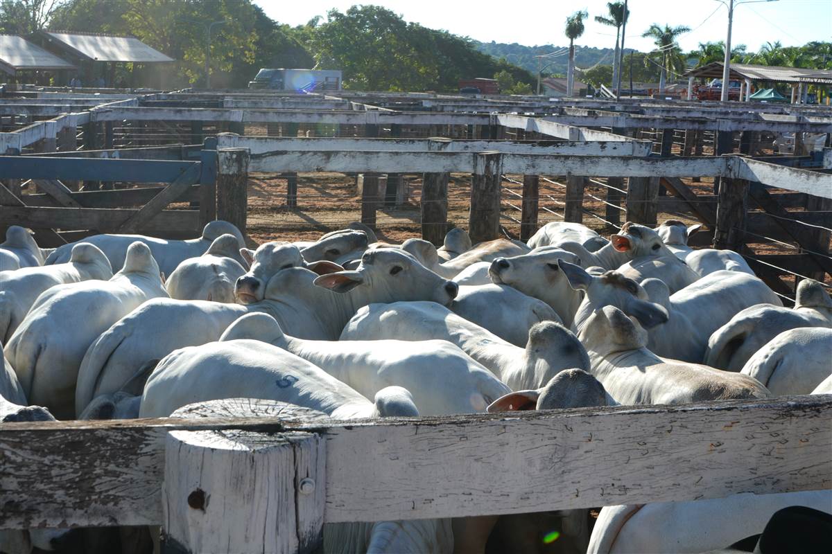 Clique para ver - Foto 1