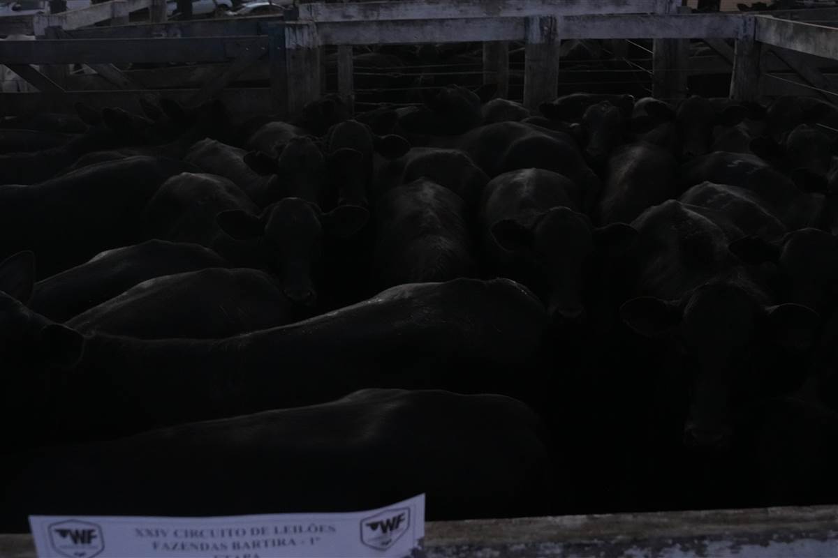 Clique para ver - Foto 1