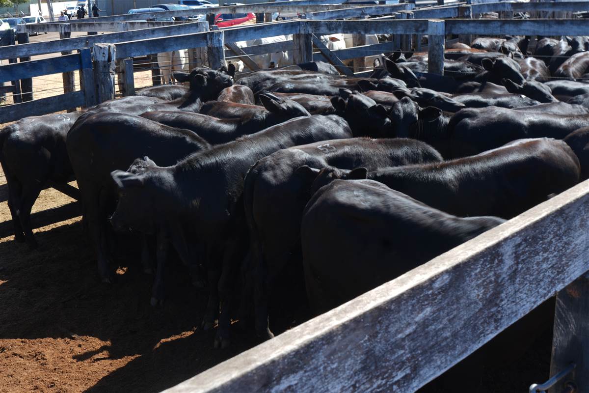 Clique para ver - Foto 0